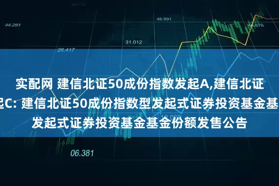 实配网 建信北证50成份指数发起A,建信北证50成份指数发起C: 建信北证50成份指数型发起式证券投资基金基金份额发售公告