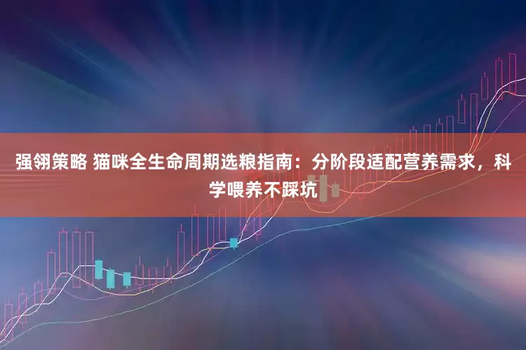 强翎策略 猫咪全生命周期选粮指南：分阶段适配营养需求，科学喂养不踩坑